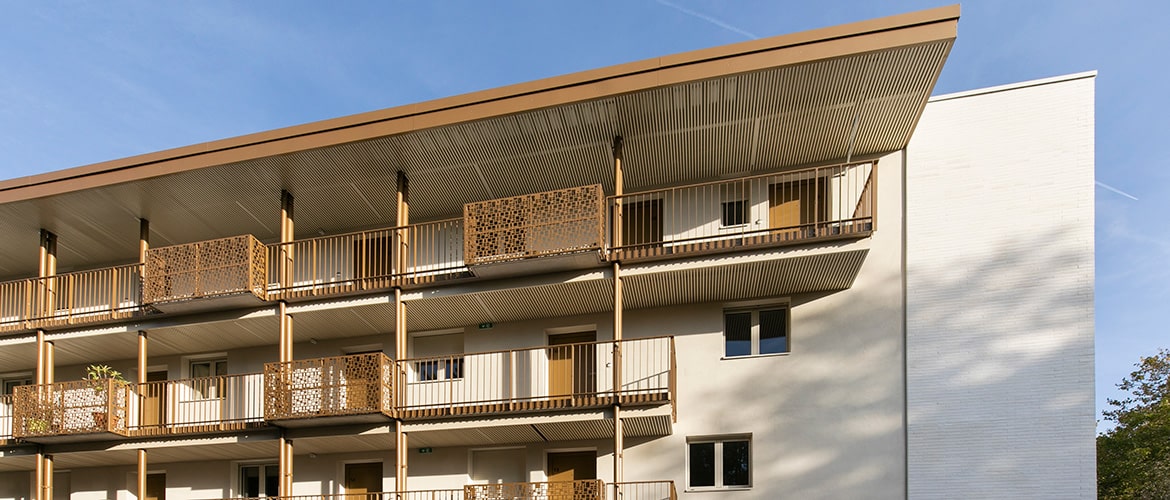 Logement Mont&eacute;gut r&eacute;novation (87)_0