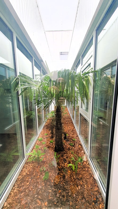 patio_chenieux-min