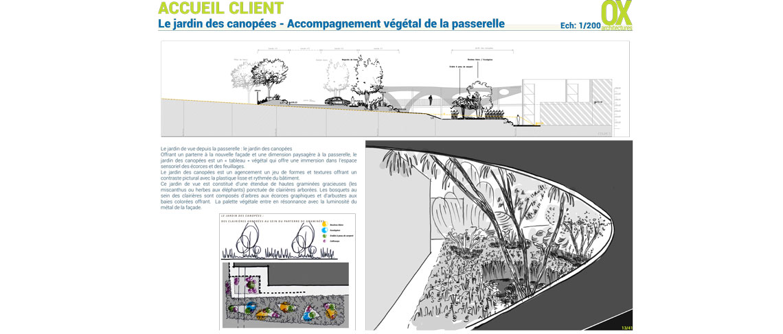 Catalent_2