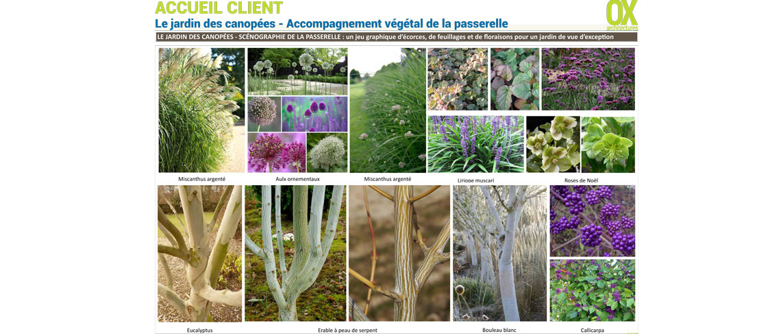 Catalent_3